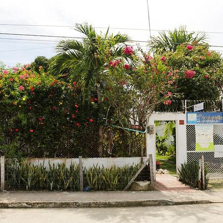 Hostal Del Mar - Tolú Dış mekan fotoğraf